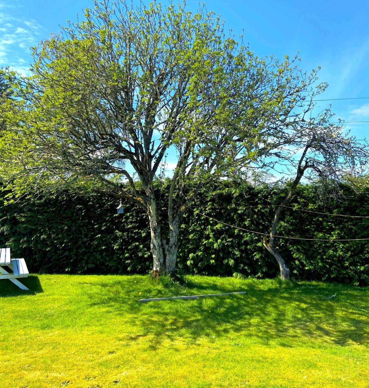 Inshes 26 Green Drive Inverness מראה חיצוני תמונה